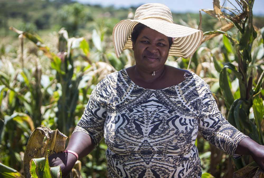 Thulusile Shongwe, a farmer in Swaziland&#39;s Hhohho region